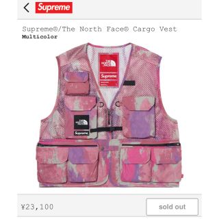 シュプリーム(Supreme)のSupreme The north face cargo vest(ベスト)