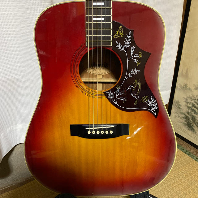 美品 Morris モーリス アコースティックギター WH-25 ハミングバード