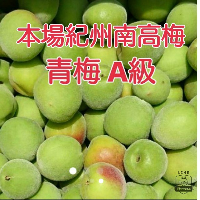 本場紀州南高梅 みなべ町産産地直送♪ 秀品(A級) 青梅 2L 3kg 食品/飲料/酒の食品(野菜)の商品写真