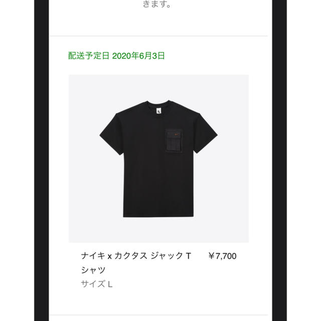 NIKE(ナイキ)のtravis scott ポケット　Tシャツ メンズのトップス(Tシャツ/カットソー(半袖/袖なし))の商品写真