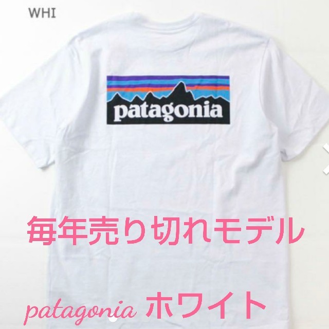 patagoniaTシャツ ホワイトXL