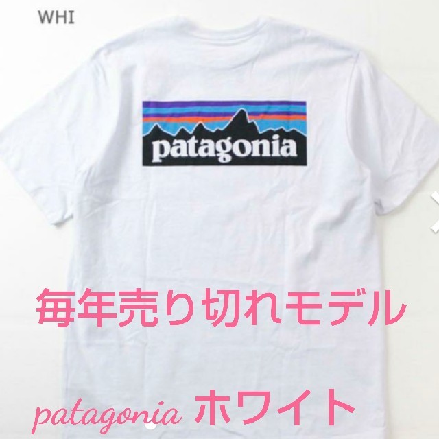 patagoniaTシャツホワイト M