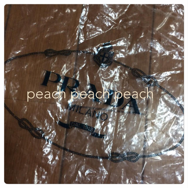 PRADA(プラダ)のプラダビニール保存袋 レディースのバッグ(その他)の商品写真
