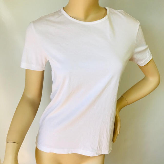 Emporio Armani(エンポリオアルマーニ)の美品⭐︎エンポリオアルマーニ★ブランドロゴバックプリント コットンTシャツ(S) レディースのトップス(Tシャツ(半袖/袖なし))の商品写真