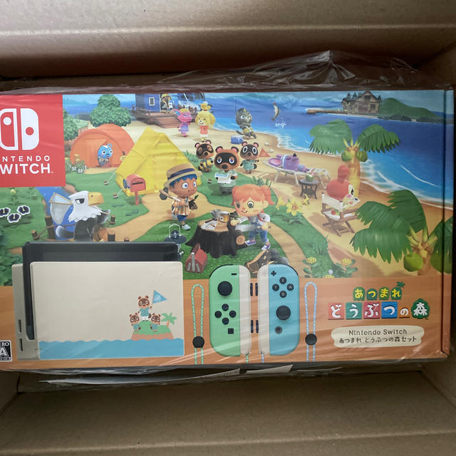 送料込　スイッチ　あつまれどうぶつの森セットあつ森