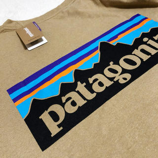 正規◆レア◆パタゴニア ロンT Patagonia P-6 ベージュ　XL