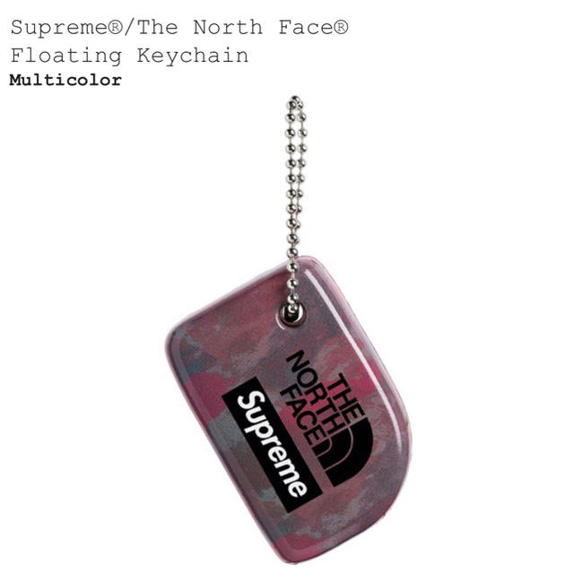 Supreme(シュプリーム)のSupreme The North Face Keychain メンズのファッション小物(キーホルダー)の商品写真