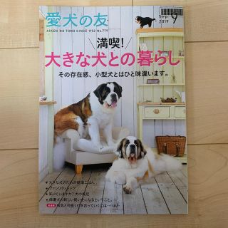 愛犬の友 2019年 09月号(趣味/スポーツ)