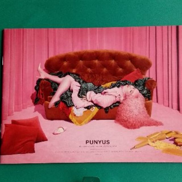 PUNYUS(プニュズ)の渡辺直美 PUNYUS パンフレット エンタメ/ホビーのタレントグッズ(お笑い芸人)の商品写真