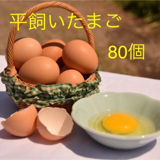 平飼いたまご　✴︎高原卵10個入り8パック✴︎ 国産もみじの卵　新鮮(野菜)