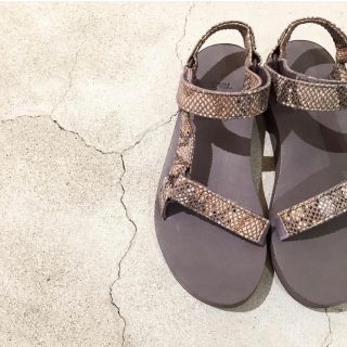 ビューティアンドユースユナイテッドアローズ(BEAUTY&YOUTH UNITED ARROWS)のteva beauty&youth 別注パイソンサンダル(サンダル)