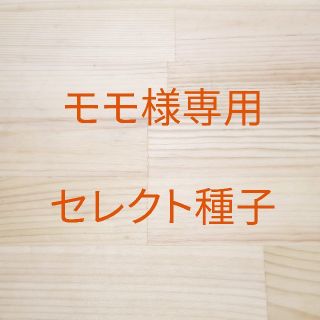 モモ様専用　セレクト種子　３袋(野菜)