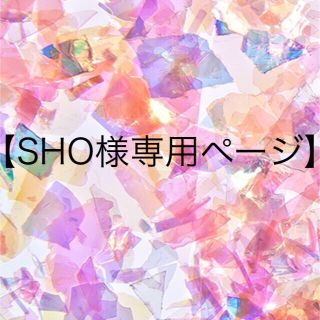 【SHO様専用ページ】(その他)