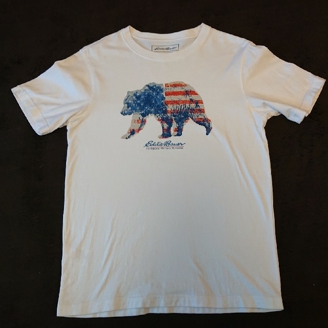 Eddie Bauer(エディーバウアー)のEddieBower アメリカ柄くま Tシャツ USED メンズのトップス(Tシャツ/カットソー(半袖/袖なし))の商品写真