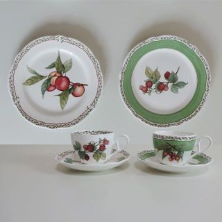 ノリタケ(Noritake)のノリタケ ロイヤルオーチャード ティータイムペアセット(食器)