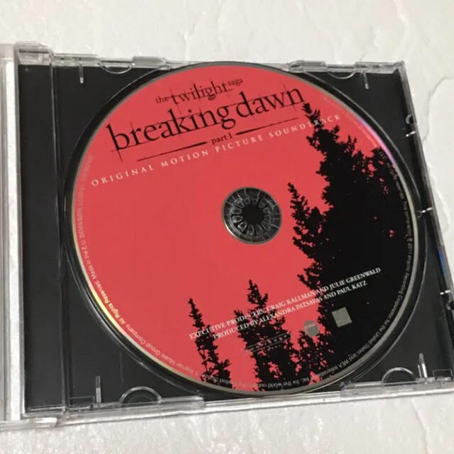 A thousand years / breaking dawn エンタメ/ホビーのCD(ポップス/ロック(洋楽))の商品写真