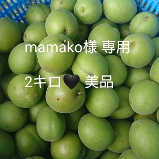 mamako様 徳島神山産 青梅 2キロ 美品(フルーツ)