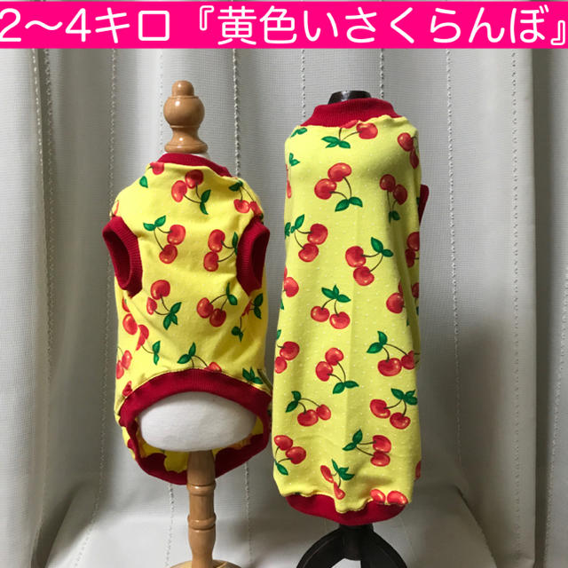 2〜4キロ未満『黄色いさくらんぼ』メルロコ　ダックス　犬服 ハンドメイドのペット(ペット服/アクセサリー)の商品写真