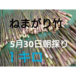 根曲がり竹 １キロ 5月30日朝採り 長野県産(野菜)