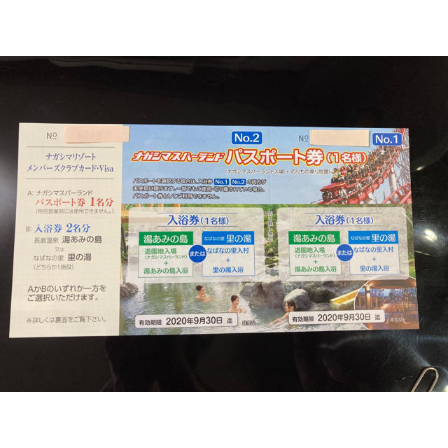 ナガシマスパーランド パスポート 20年12月末まで有効期限延長 大人1名 1枚