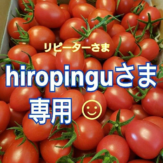 ４㎏ hiropinguさま専用です☺️ ミニトマト 食品/飲料/酒の食品(野菜)の商品写真