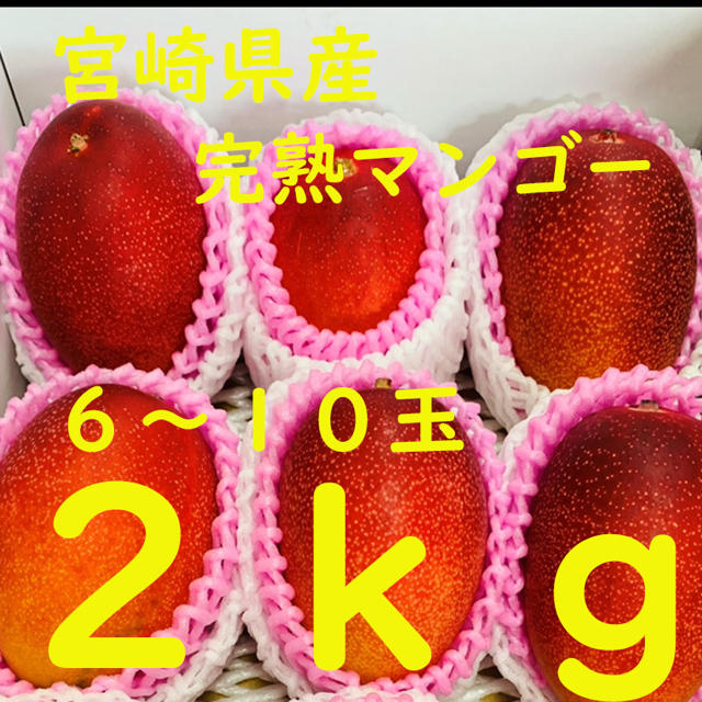 完熟マンゴー 2kg 宮崎産 農協品 6玉〜10玉 ギフト 市場直送　安い