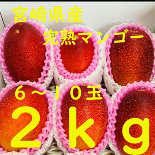 完熟マンゴー 2kg 宮崎産 農協品 6玉〜10玉 ギフト 市場直送　安い(フルーツ)