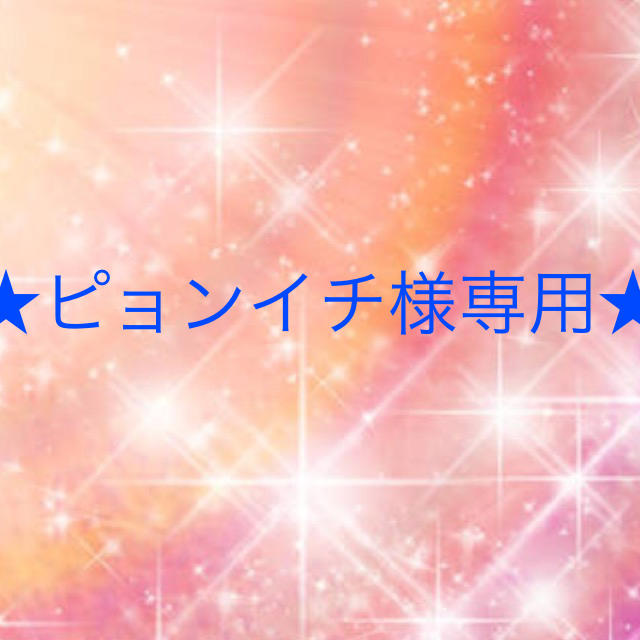 ピョンイチ様専用