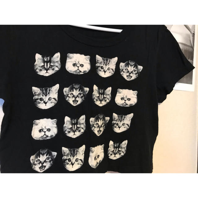 Urban Outfitters(アーバンアウトフィッターズ)のUrban outfitters 子猫プリント　クロップドＴシャツ　XS レディースのトップス(Tシャツ(半袖/袖なし))の商品写真