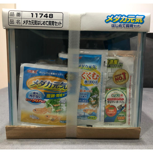 新品☆ 水槽　メダカ元気　はじめて飼育セット その他のペット用品(アクアリウム)の商品写真