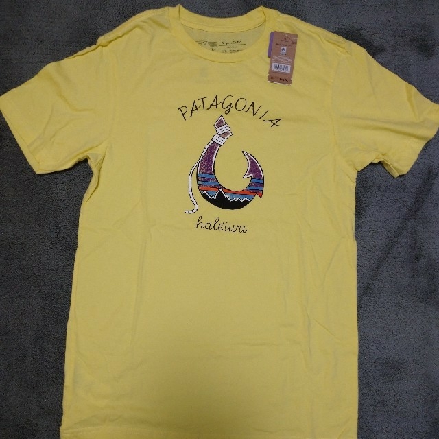 patagoniaTシャツ二枚