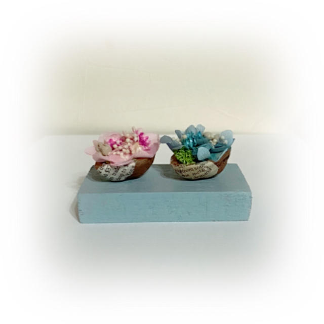 ミニチュア花壇  クルミとプリザーブド💓 ハンドメイドのフラワー/ガーデン(プリザーブドフラワー)の商品写真