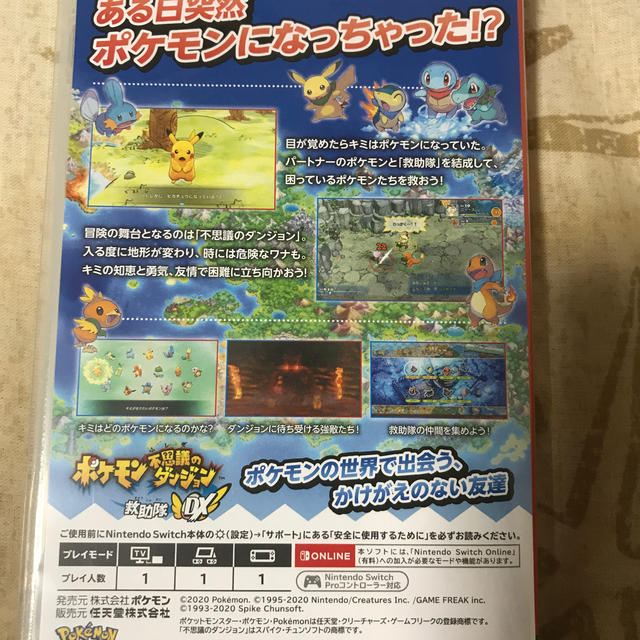 ポケモン(ポケモン)のポケモン不思議のダンジョン 救助隊DX Switch エンタメ/ホビーのゲームソフト/ゲーム機本体(家庭用ゲームソフト)の商品写真