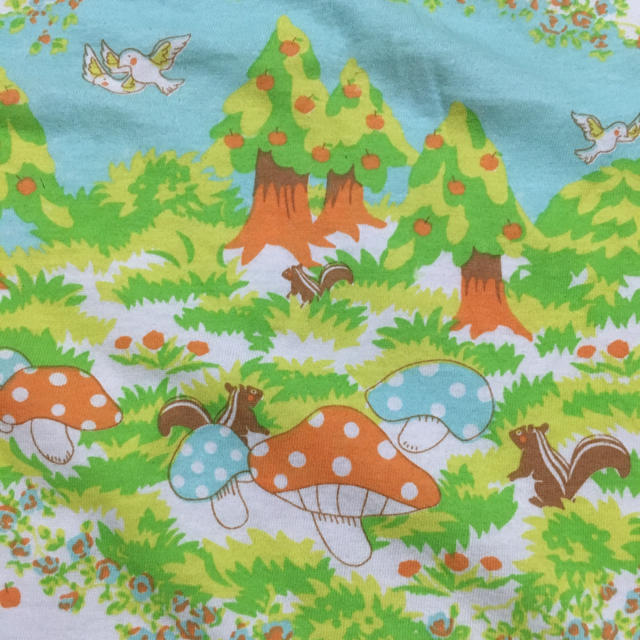 franche lippee(フランシュリッペ)の鳥、キノコ、リス、木、林檎、自然ほのぼのtシャツ  レディースのトップス(Tシャツ(半袖/袖なし))の商品写真