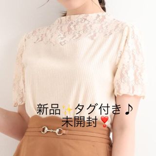 マジェスティックレゴン(MAJESTIC LEGON)の新品✨タグ付き♪未開封❣️半袖カットソー　マジェスティックレゴン  大特価‼️(カットソー(半袖/袖なし))