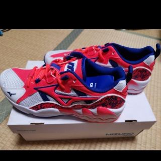 ミズノ(MIZUNO)の専用★MIZUNO WAVE RIDER 1　(スニーカー)