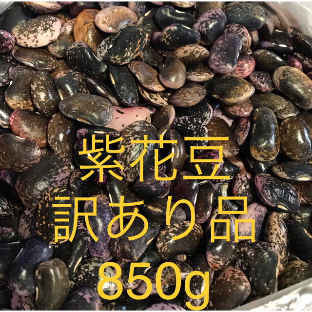 甘煮にオススメ紫花豆　価格比較　R4年長野県産・大粒高原花豆1kg　やや訳あり