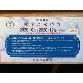 みきさん専用　東宝映画　株主優待券　2枚セット(その他)