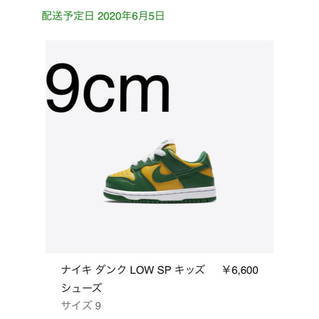 新品 9cm NIKE dunk low sp baby ベビー brazil