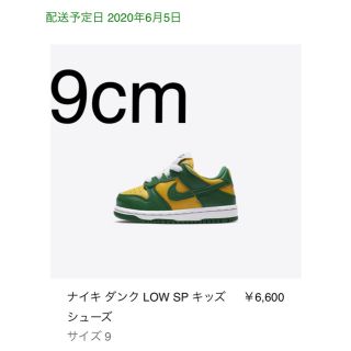 ナイキ(NIKE)の新品 9cm NIKE dunk low sp baby ベビー brazil(スニーカー)