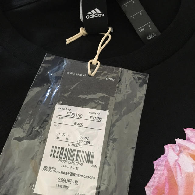 adidas(アディダス)のadidas アディダス　Tシャツ レディースのトップス(Tシャツ(半袖/袖なし))の商品写真