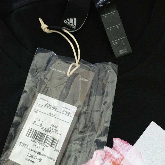 adidas(アディダス)のadidas アディダスTシャツ レディースのトップス(Tシャツ(半袖/袖なし))の商品写真