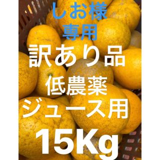 しお様　専用　訳あり品　みかん　小玉　低農薬　宇和ゴールド15Kg  ジュース用(フルーツ)