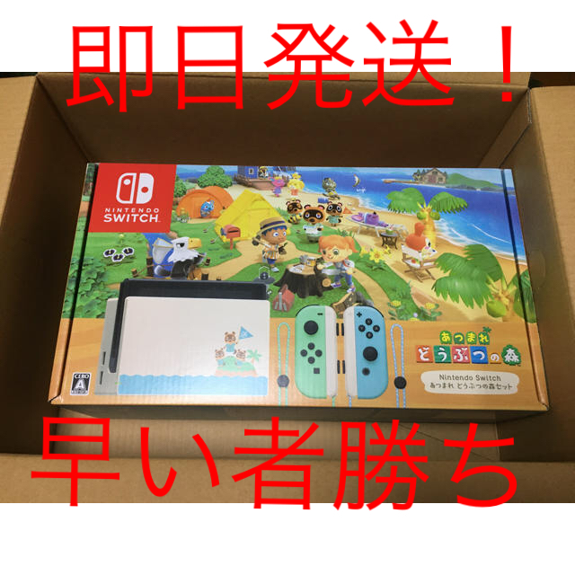 Nintendo Switch(ニンテンドースイッチ)の【新品未使用】Nintendo Switch あつまれ どうぶつの森セット 本体 エンタメ/ホビーのゲームソフト/ゲーム機本体(家庭用ゲーム機本体)の商品写真