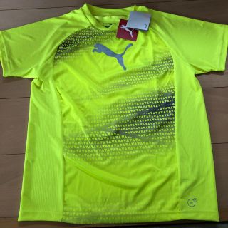 プーマ(PUMA)のPUMA半袖★新品未使用(Tシャツ/カットソー)