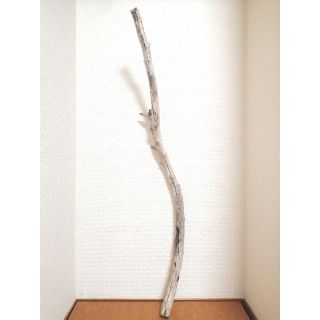 ☆流木　1M 11cm☆(インテリア雑貨)