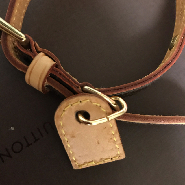 LOUIS VUITTON(ルイヴィトン)の小型犬･ルイヴィトン 首輪＆リードセット(美品 送料込) その他のペット用品(犬)の商品写真