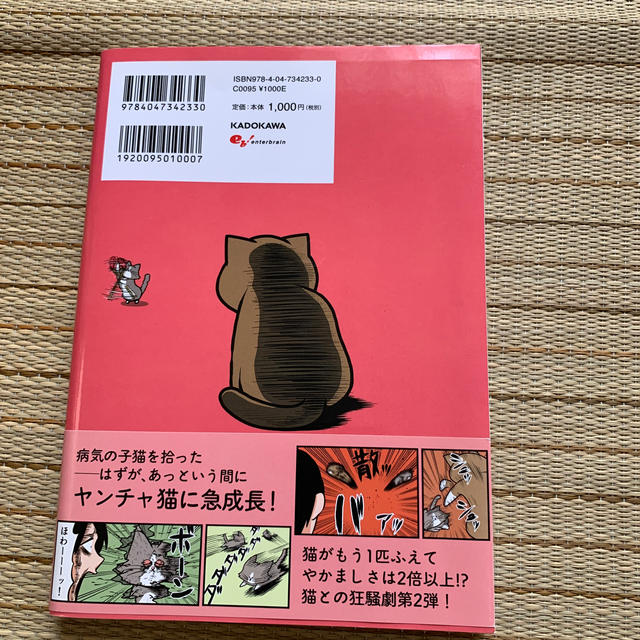 角川書店(カドカワショテン)の鴻池剛と猫のぽんたニャアアアン！ ２ エンタメ/ホビーの漫画(その他)の商品写真