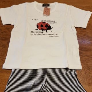 コムサイズム(COMME CA ISM)の未使用タグ付★コムサイズムてんとう虫Tシャツとストライプハーフパンツ(Tシャツ/カットソー)