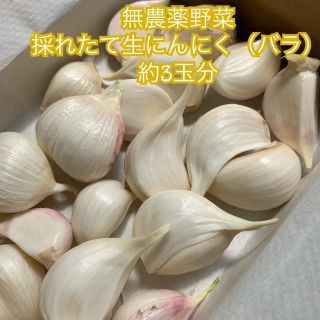 採れたて生にんにく3玉分（バラ）＊無農薬野菜＊国産＊お試しサイズ＊ゆうパケット＊(野菜)